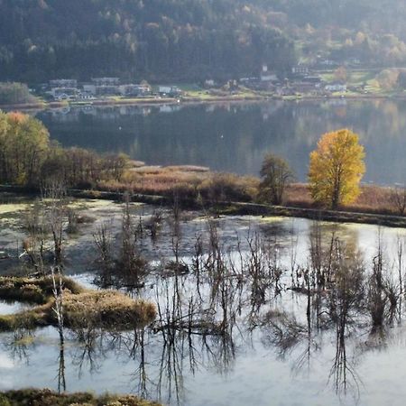 Ferienhaus Natura 2000 Steindorf am Ossiacher See Luaran gambar