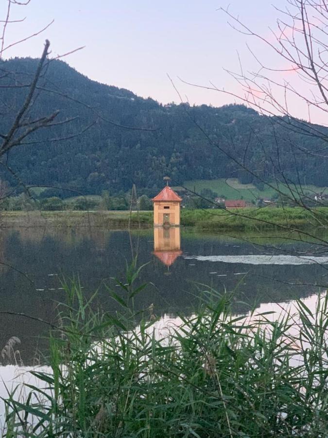 Ferienhaus Natura 2000 Steindorf am Ossiacher See Luaran gambar
