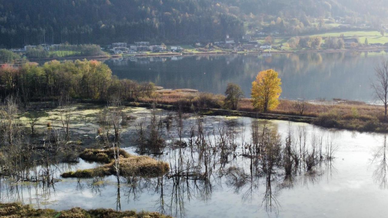 Ferienhaus Natura 2000 Steindorf am Ossiacher See Luaran gambar